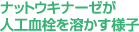 ナットウキナーゼが人口血栓を溶かす様子