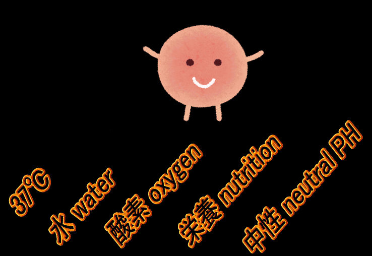 納豆菌についてのGIFアニメーション